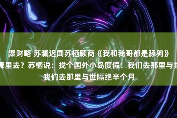 聚财略 苏澜迟闻苏栖顾商《我和我哥都是舔狗》我不解:跑哪里去?苏栖说:找个国外小岛度假!我们去那里与世隔绝半个月